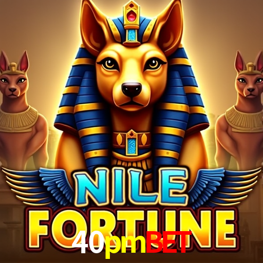 A Experiência Imersiva dos Cassinos Ao Vivo no 40pmbet